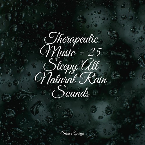 Therapeutic Music - 25 Sleepy All Natural Rain Sounds