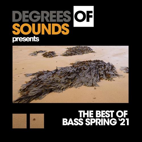 The Best Of Bass Spring '21