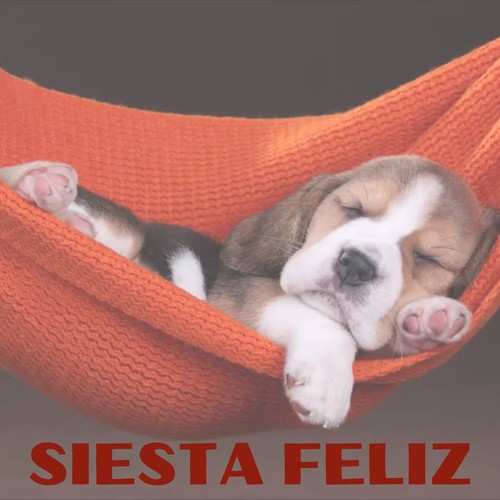 SIESTA FELIZ