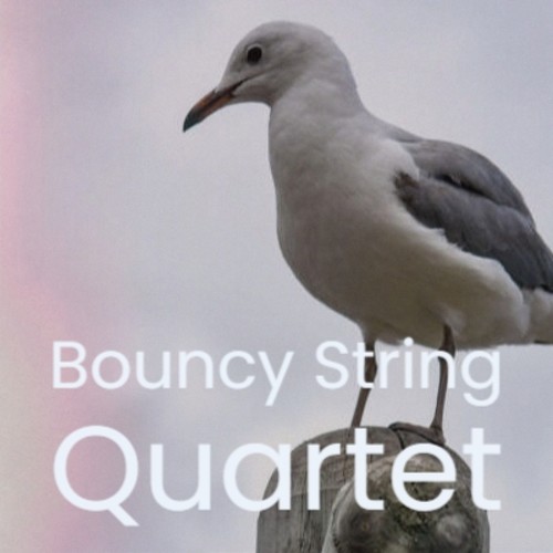 Bouncy String Quartet