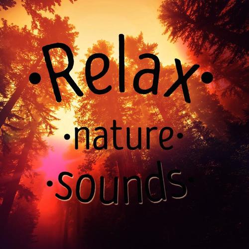 Relax: Nature Sounds