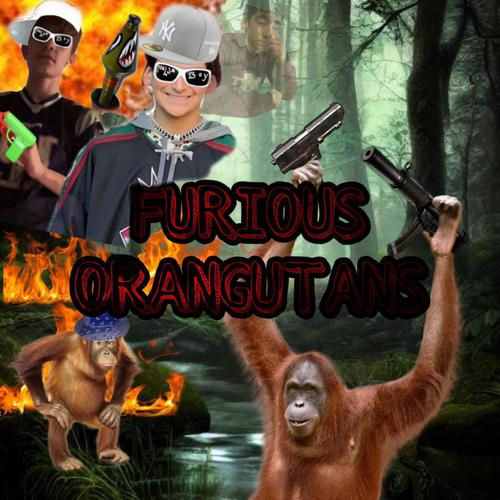 Furious Orangutans (Explicit)