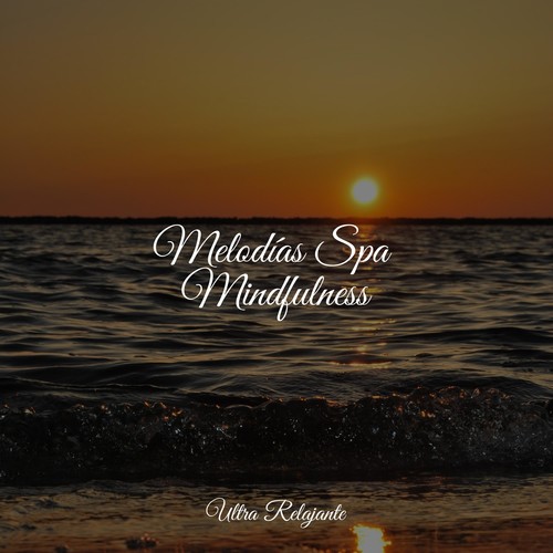 Melodías Spa Mindfulness