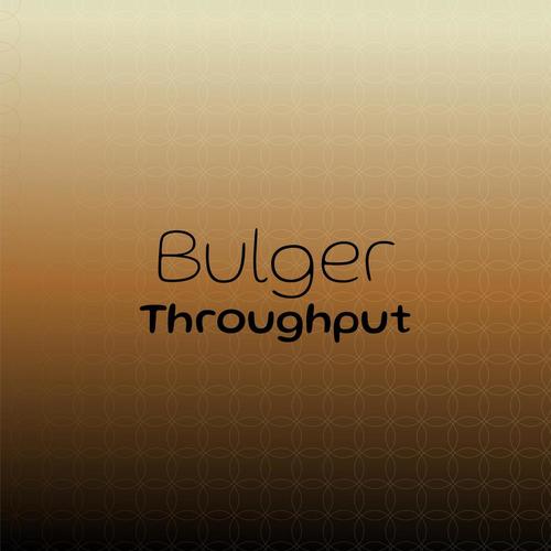 Bulger Throughput