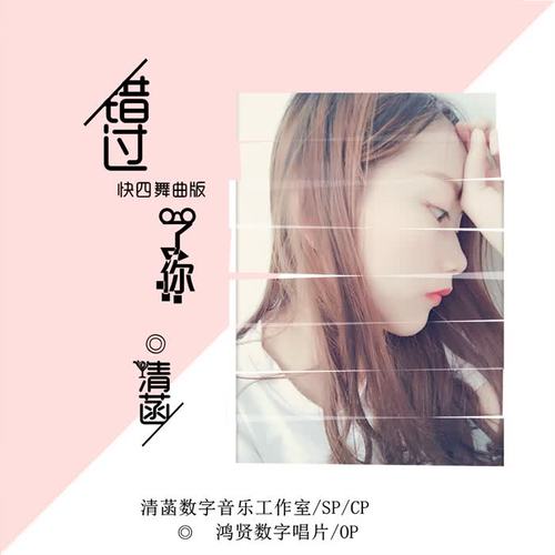 错过了你(快四舞曲版)