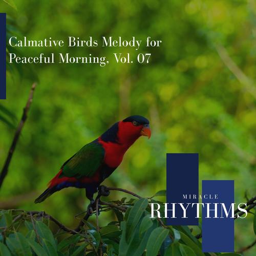 Calmative Birds Melody For Peaceful Morning, Vol. 07