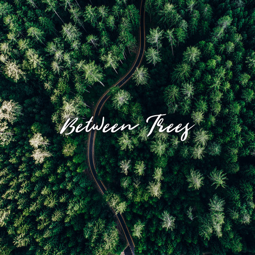 Between Trees