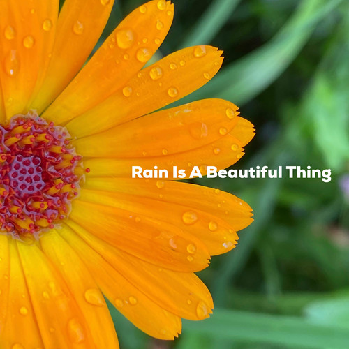 Rain Is A Beautiful Thing