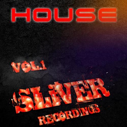 SLiVER Music House, Vol. 1