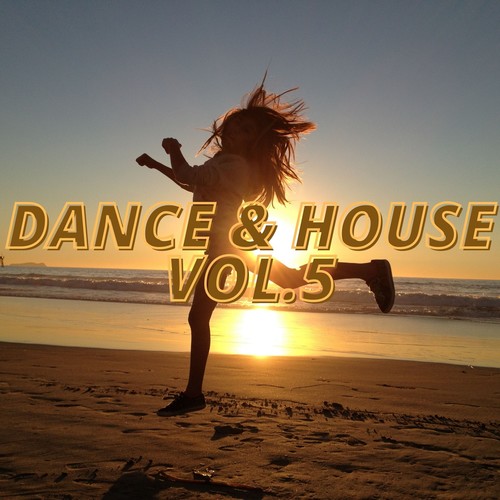 Dance & House Vol.5