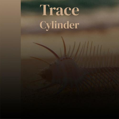 Trace Cylinder