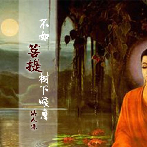 不如菩提树下喂鹰