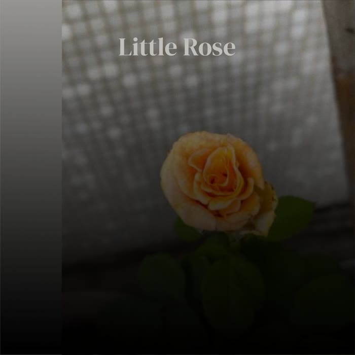 Little Rose