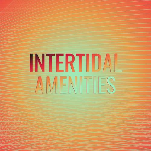 Intertidal Amenities