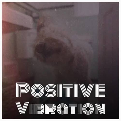 Positive Vibration