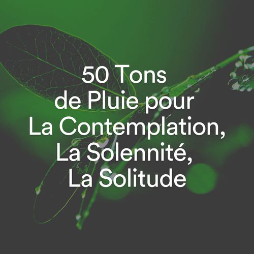 50 Tons de Pluie pour La Contemplation, La Solennité, La Solitude