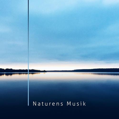 Naturens Musik: 15 av de Vackraste Universella Melodierna för Vila, Avkoppling, Badning, Spa, Massage, Meditation och Kontemplation, Yoga och Pilates