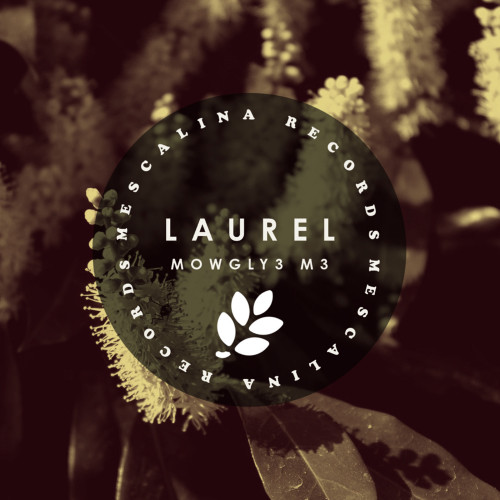 Laurel