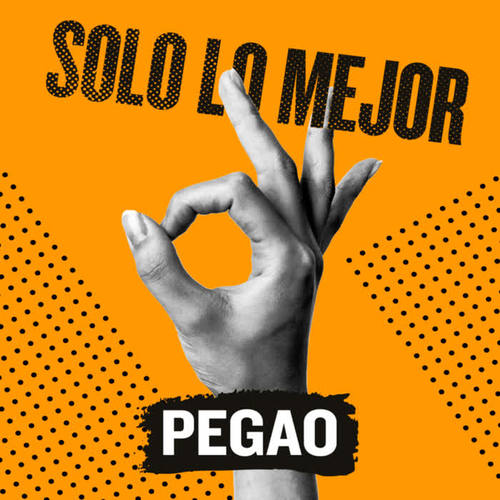 Solo Lo Mejor: Pegao