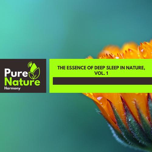 The Essence of Deep Sleep in Nature, Vol. 1