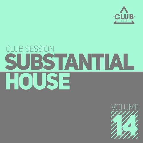 Substantial House, Vol. 14