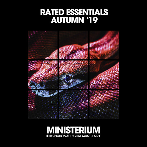 Rated Essentials (Autumn '19)