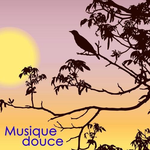 Musique douce – Musique anti-stress et calme pour détente et yoga