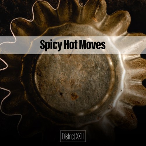 Spicy Hot Moves District XXIII