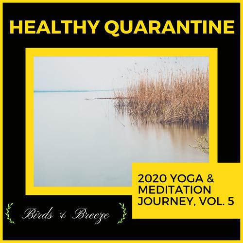 Healthy Quarantine - 2020 Yoga & Meditation Journey, Vol. 5