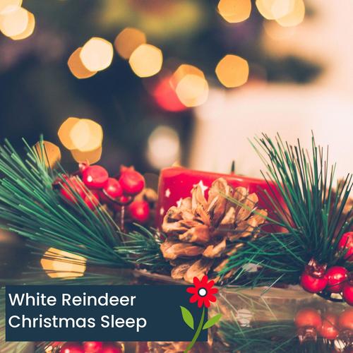 White Reindeer Christmas Sleep