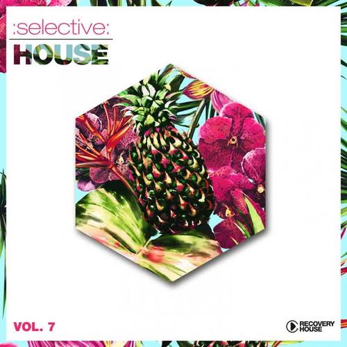 Selective: House, Vol. 7