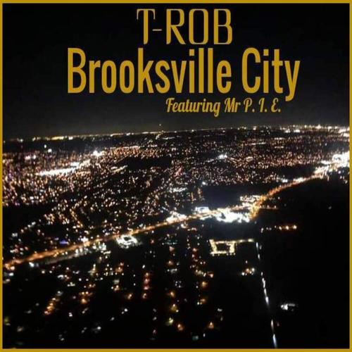 Brooksville City (feat. Mr P. I. E.) [Explicit]