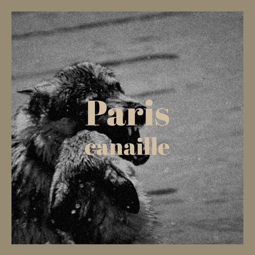 Paris canaille