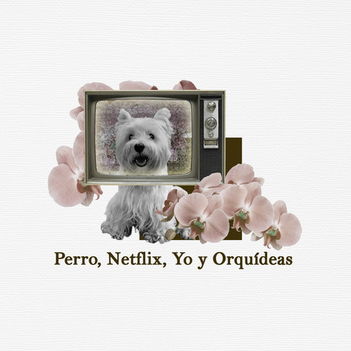 Perro, Netflix, Yo y Orquídeas