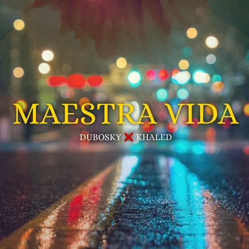 Maestra Vida