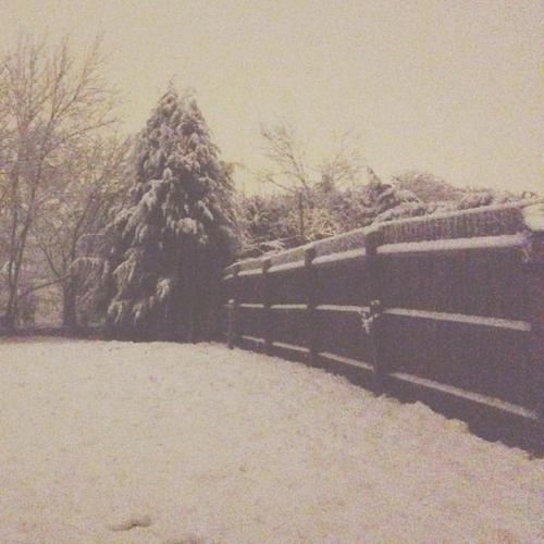 Winter Wonderland (Explicit)