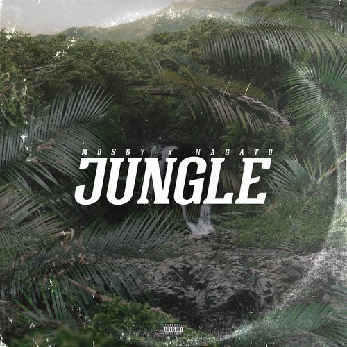 Jungle (Explicit)