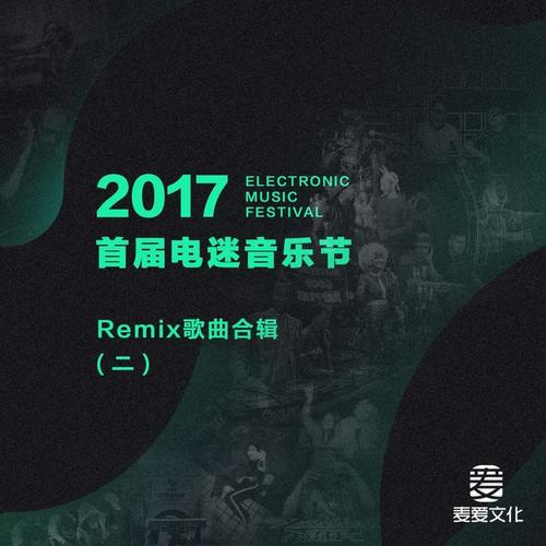 2017首届电迷音乐节Remix歌曲合辑（二）