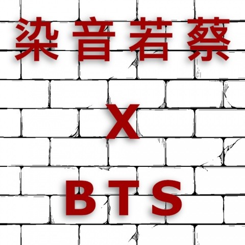 蔡蔡喜欢上了BTS防弹少年团-翻唱