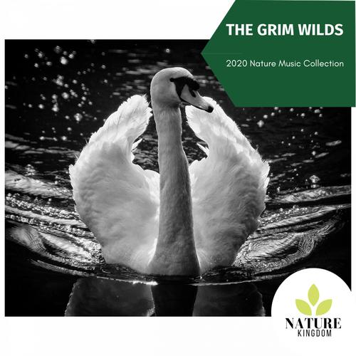 The Grim Wilds - 2020 Nature Music Collection