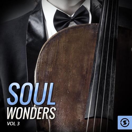 Soul Wonders, Vol. 3