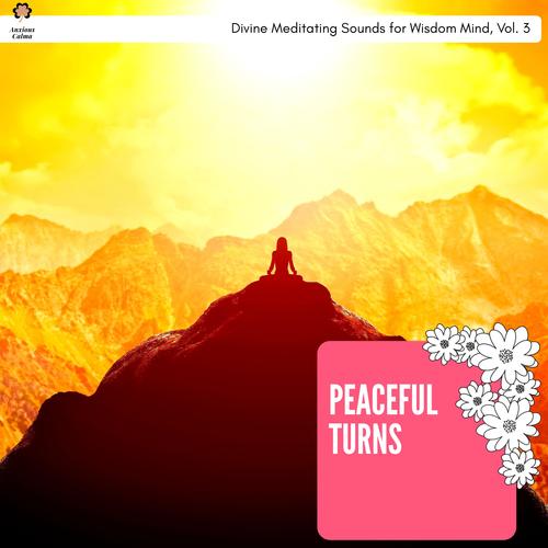 Peaceful Turns - Divine Meditating Sounds For Wisdom Mind, Vol. 3