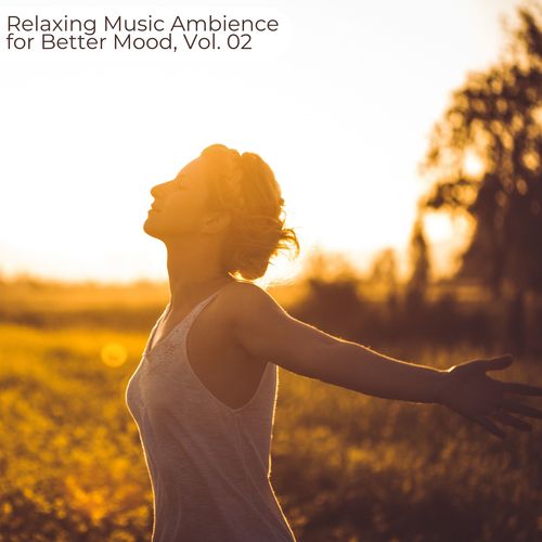 Relaxing Music Ambience For Better Mood, Vol. 02