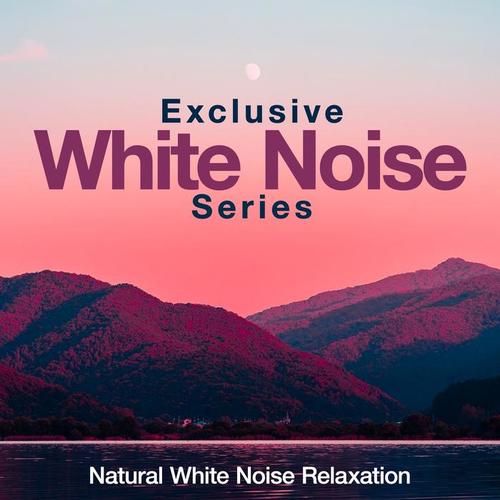 Exclusive White Noise Series