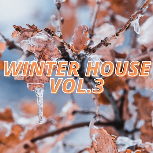 Winter House Vol.3