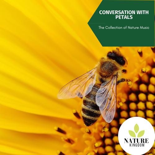 Conversation with Petals - The Collection of Nature Music