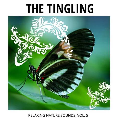 The Tingling - Relaxing Nature Sounds, Vol. 5