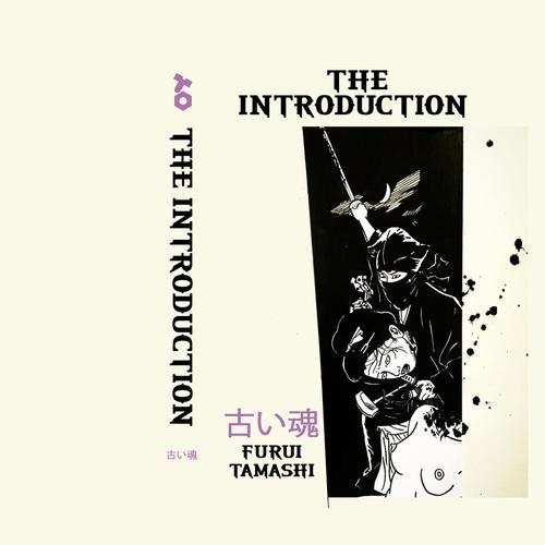 The Introduction
