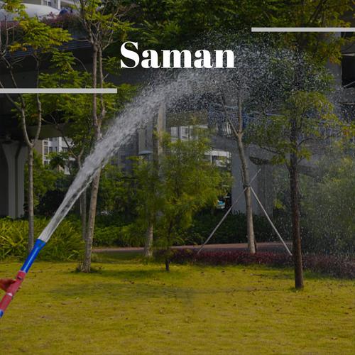 Saman