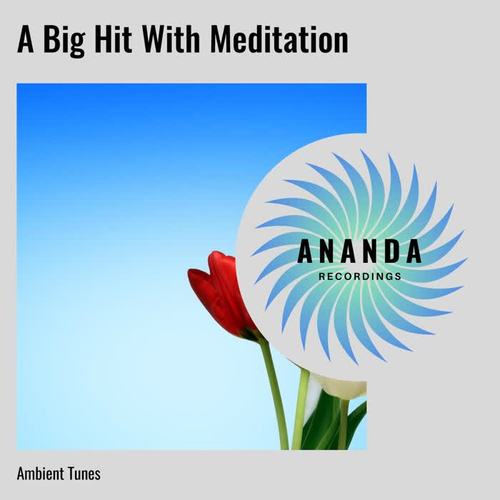 A Big Hit With Meditation: Ambient Tunes